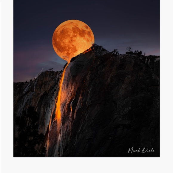 Meet your Posher, Cheryl - Picture 1 of 1